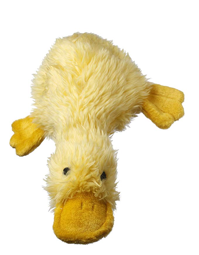 Duck Squeaker Toy RENAME