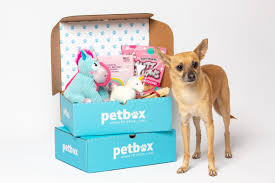Seasonal Pet Gift Box